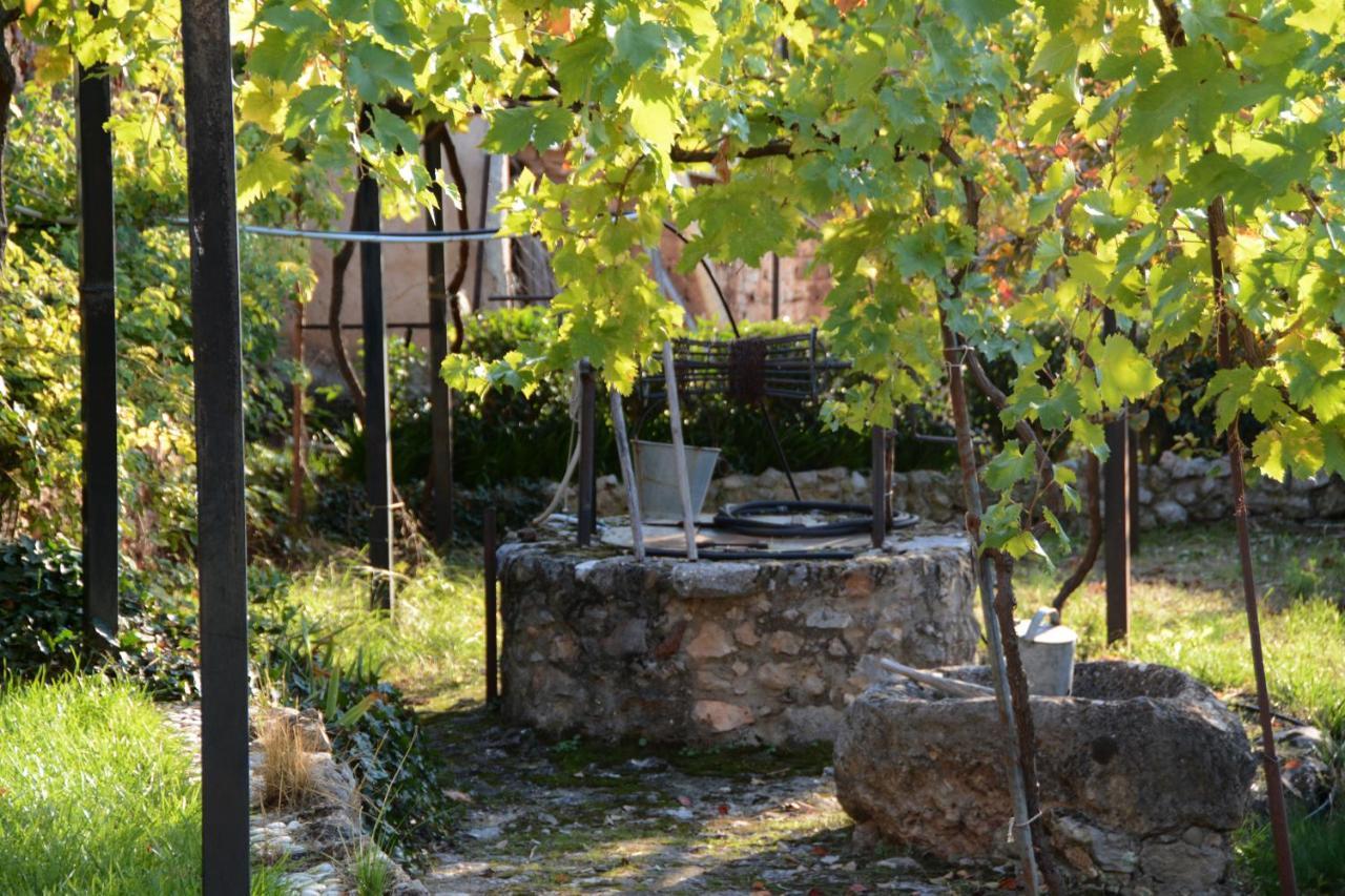 Giorgos' & Noula'S Cottage In Desfina Village- Near Delphi Zewnętrze zdjęcie